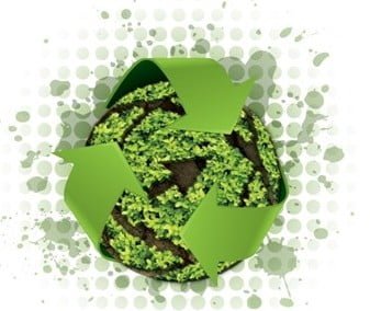 EcoScoala e1313677293680