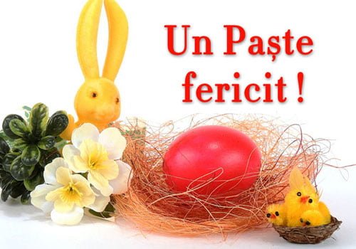 paste fericit