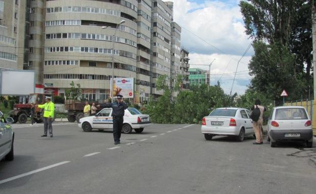 copac doborit bacau