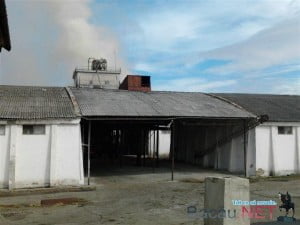 incendiu_buhusi