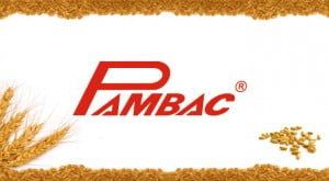pambac-csr
