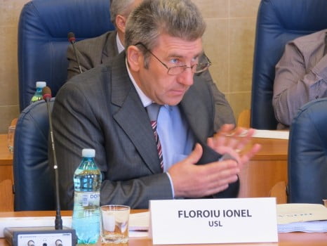 Ionel Floroiu, consilier judetean