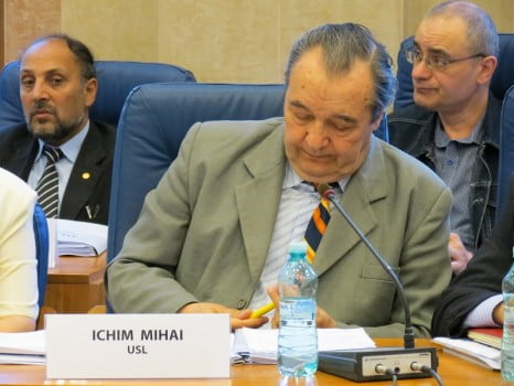 Mihai Ichim, consilier judetean