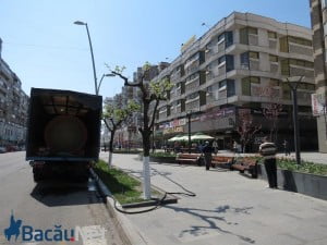 irigatii_bacau