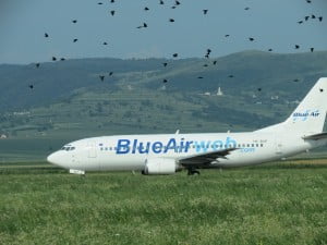 Blue Air avion Bc