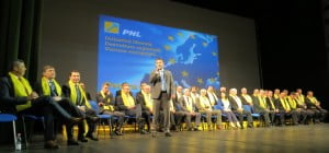 Ionel Palar - PNL - 20 mai
