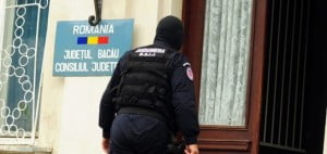perchezitii consiliul judetean