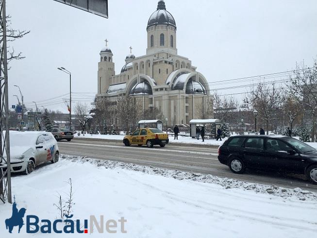 iarna_zapada_bacau (4)