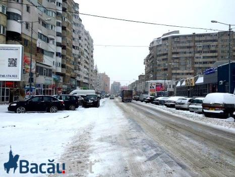 iarna_zapada_bacau (6)