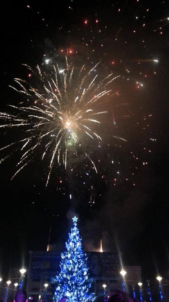 artificii_bacau (4)