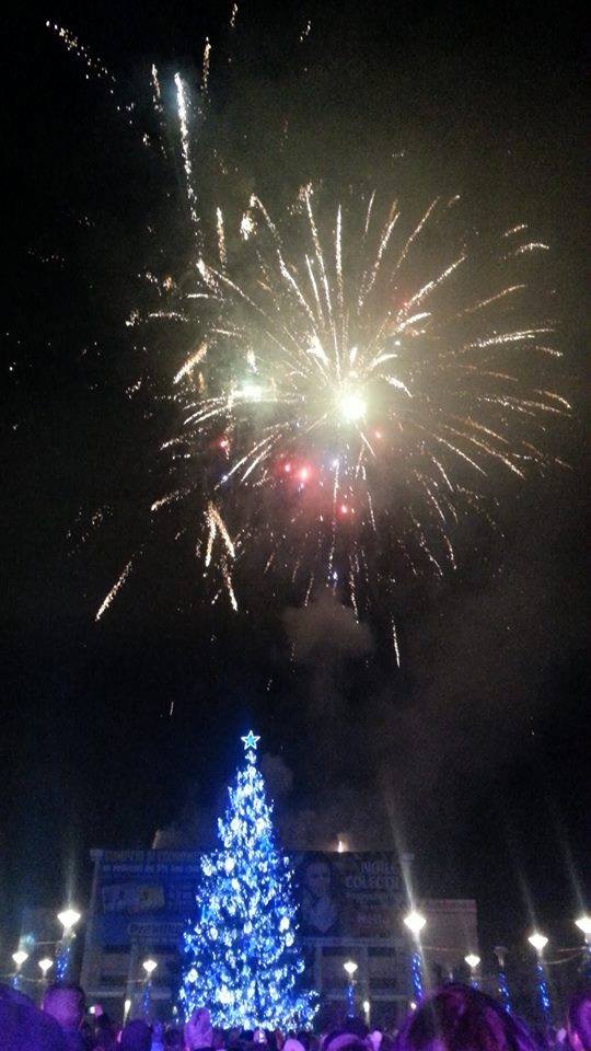 artificii_bacau (5)