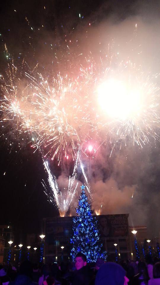 artificii_bacau (9)