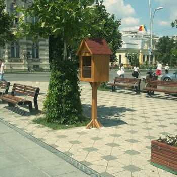 biblioteci_stradale_bacau (1)