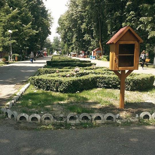 biblioteci stradale bacau 2