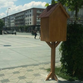 biblioteci_stradale_bacau (3)