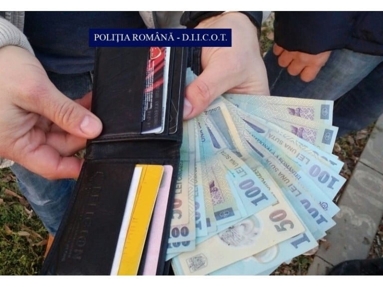 retea etnobotanice