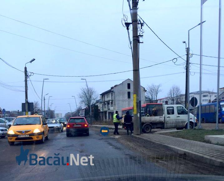 milcov (5)