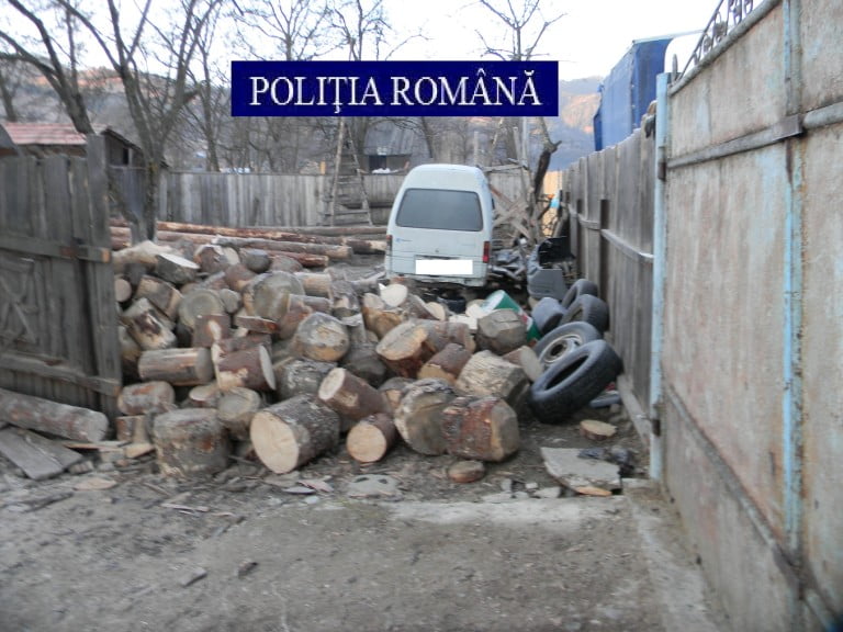 DSCN3055 e1456497584564