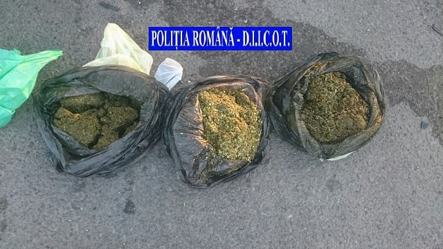 droguri