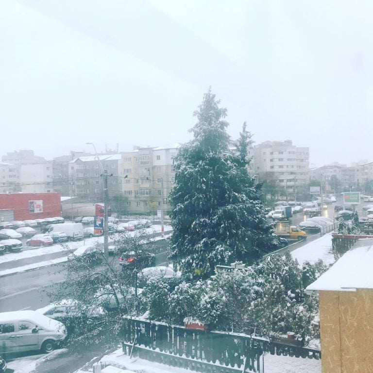 iarna bacau