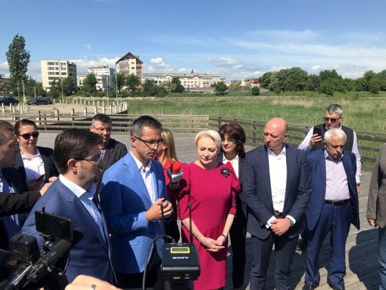 dancila insula bacau 4