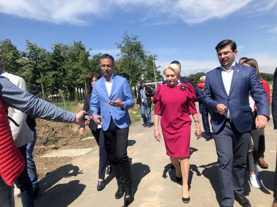 dancila insula bacau 5