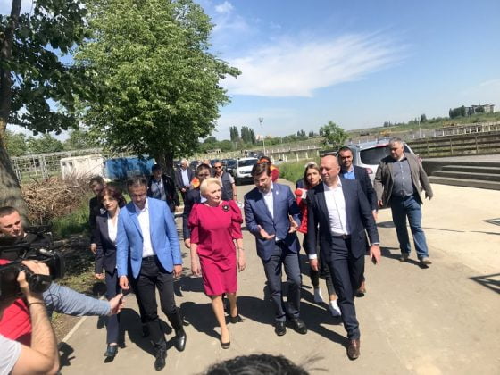 dancila insula bacau 6