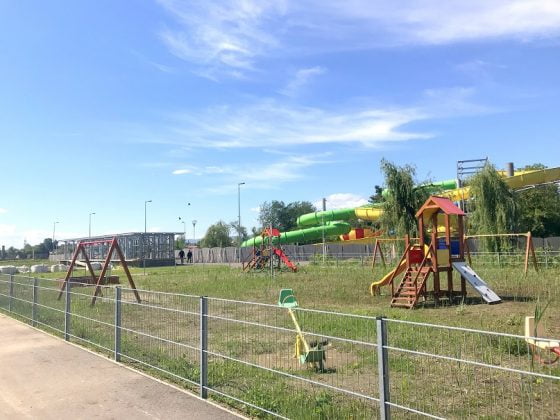 dancila insula bacau 8