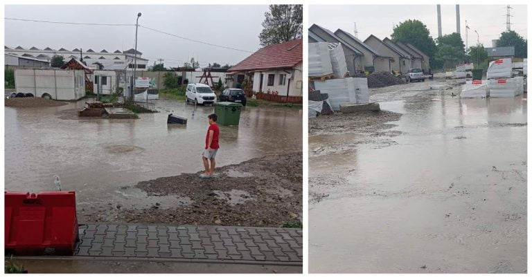 izvoare