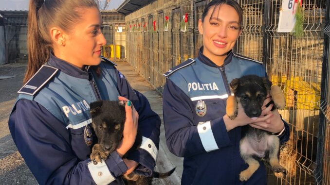 politia animalelor 678x381 1