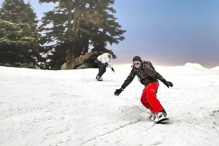 ski