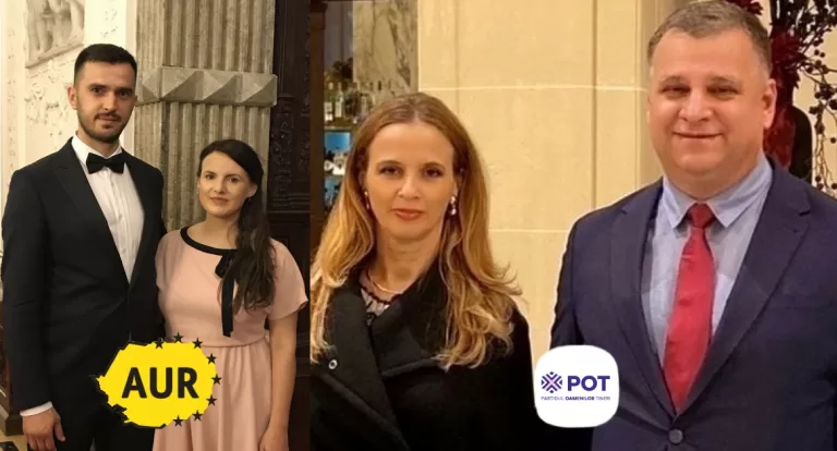 enache ionescu aur pot
