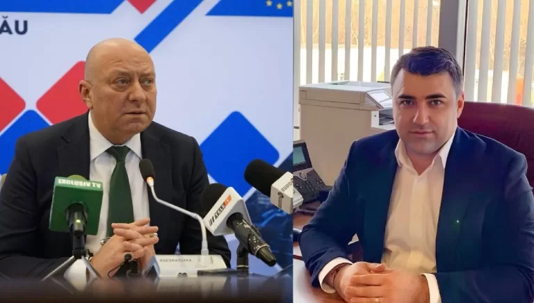 ivancea tulpan