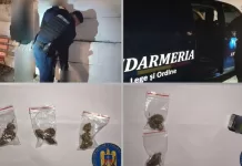 Jandarmii băcăuani au depistat trei persoane cu substanțe suspecte, în timpul unei misiuni de ordine publică