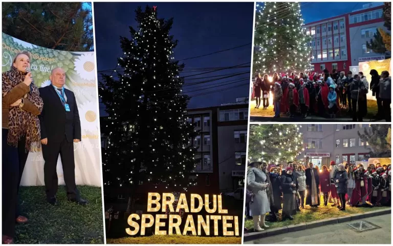 brad sju bacau