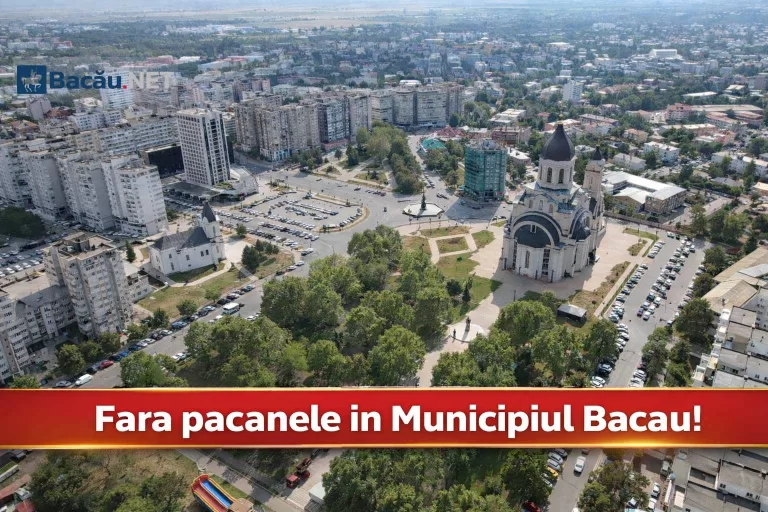 fara pacanele bacau