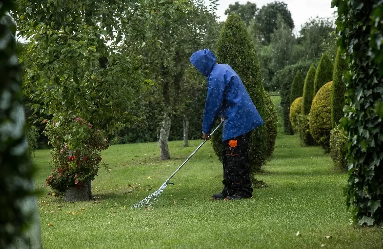 Importanța grădinăritului pentru sănătatea mintală și fizică a oamenilor