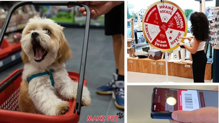 maxipet bacau