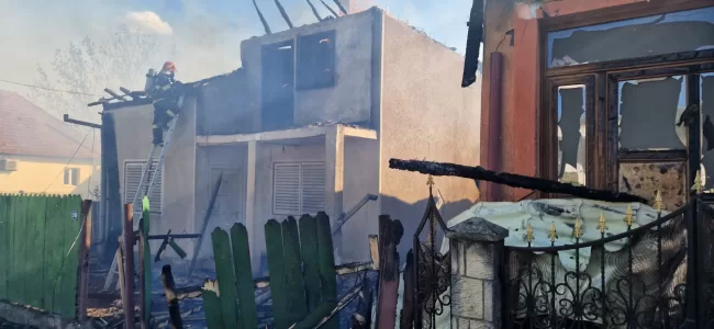 incnediu brusturoasa