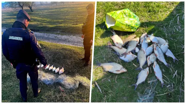 pescuit ilegal amenda