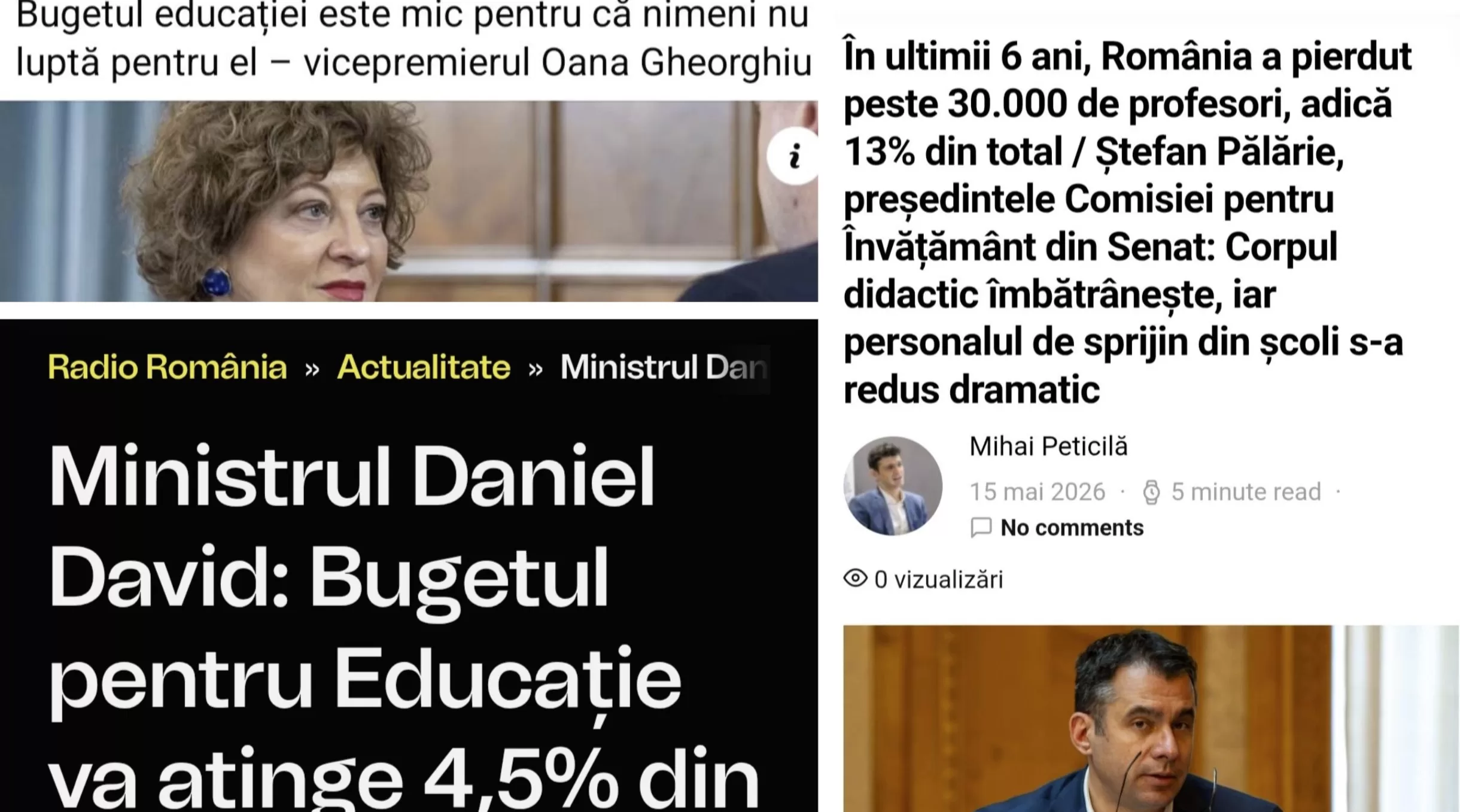 educatie bogdanel