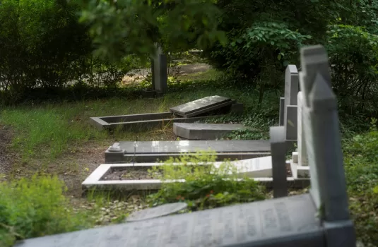 cimitir vandalizat sascut