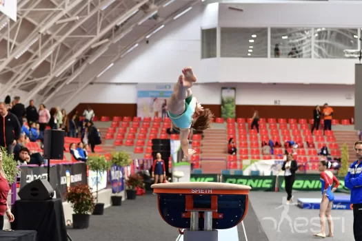 gimnastica onesti (2)