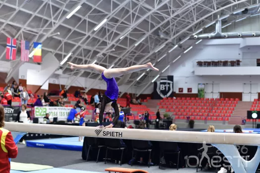 gimnastica onesti (3)