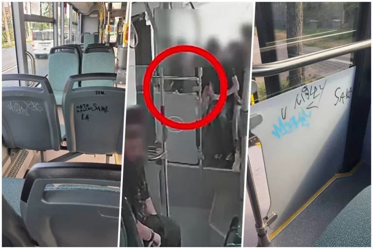 autobuze vandalizate