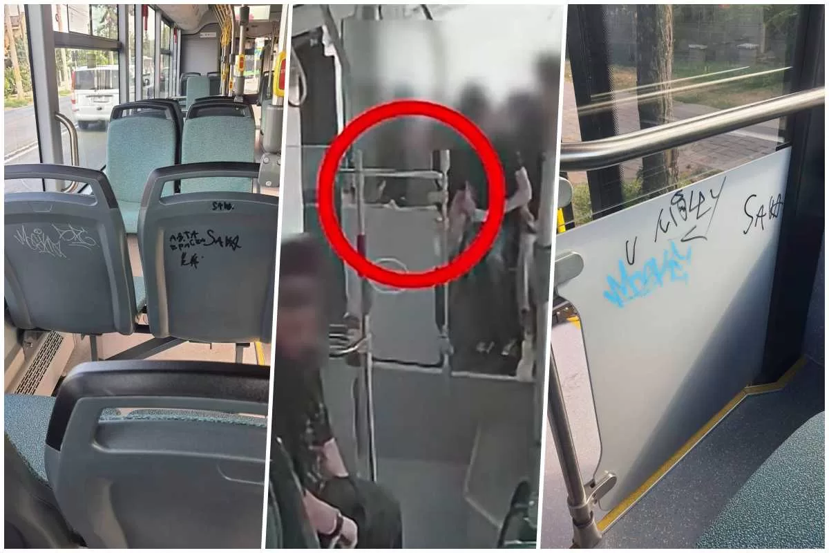 autobuze vandalizate