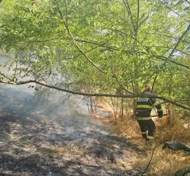 incendiu vegetatie