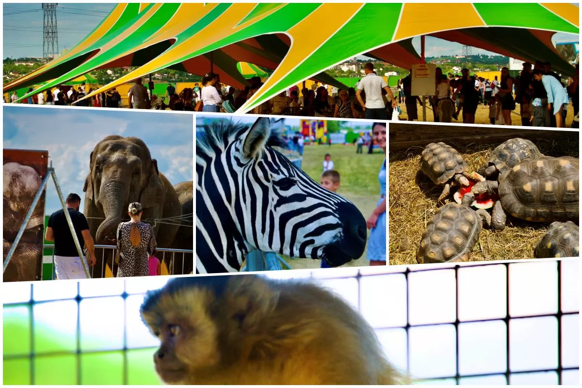 zoo park