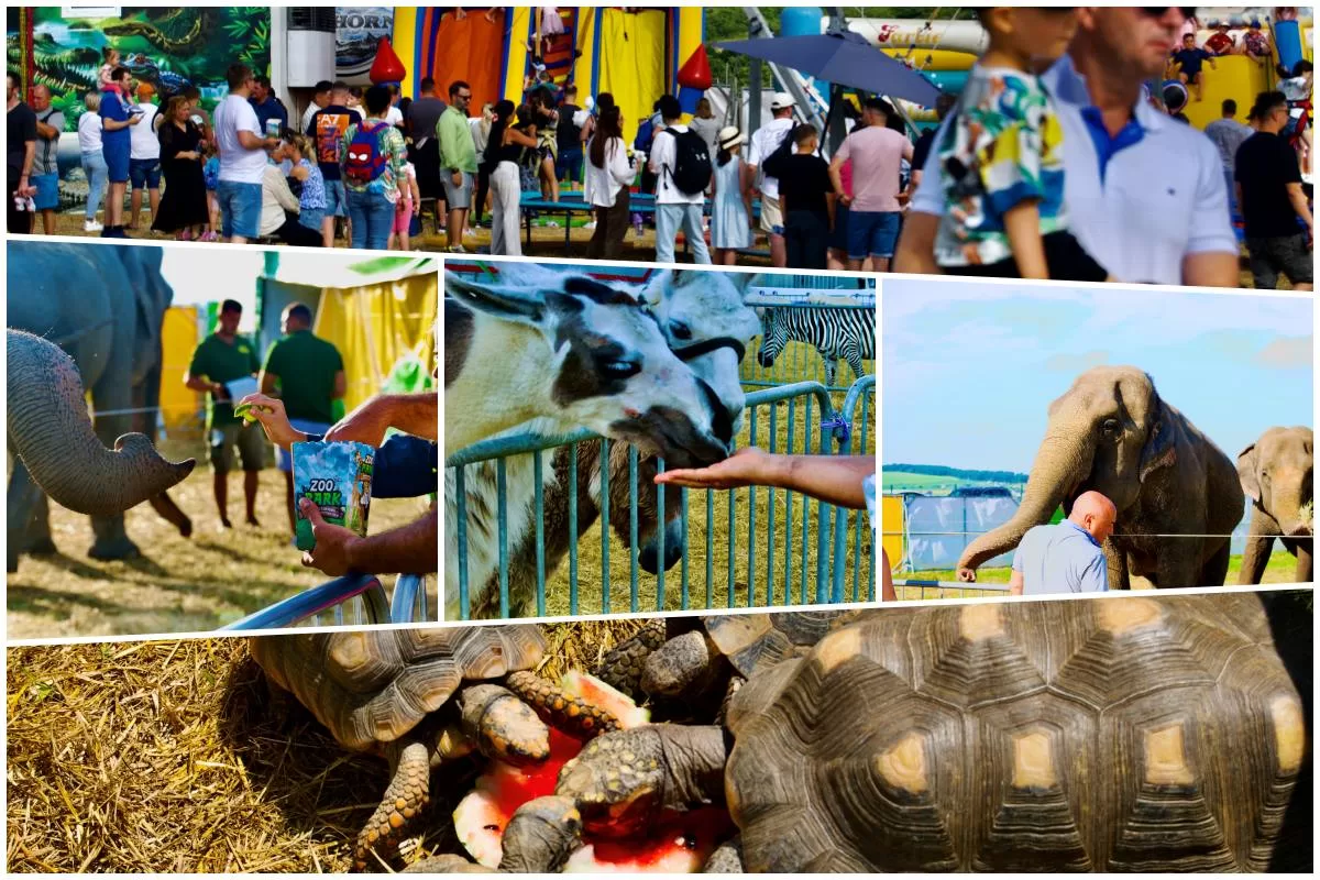zoo park2