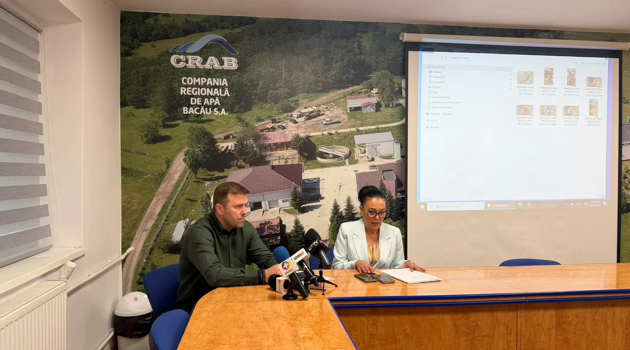 doru constantin irina radu conferinta crab